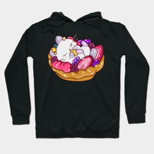 fruit and cat pie Hoodie